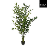 Fishtail Palm In Pot Green - H190Xd120Cm